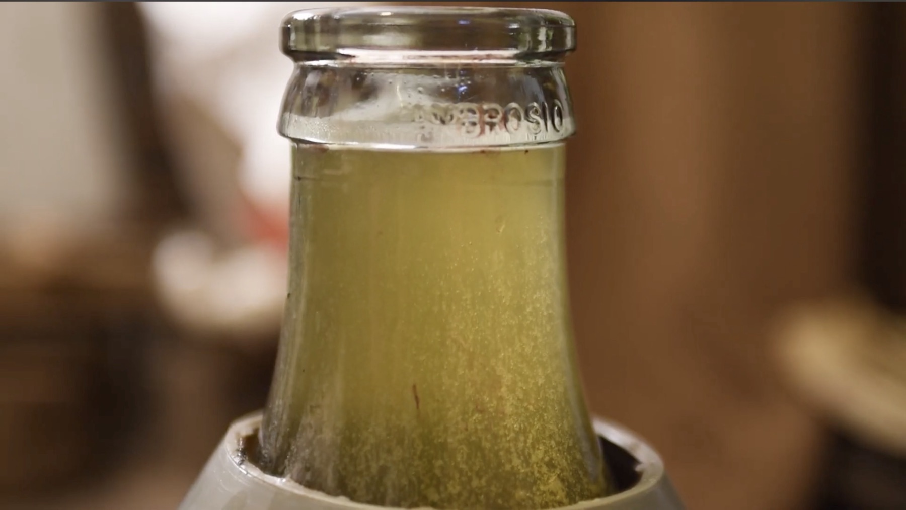 Fotogramma: il collo di una bottiglia di vino bianco, in primo piano